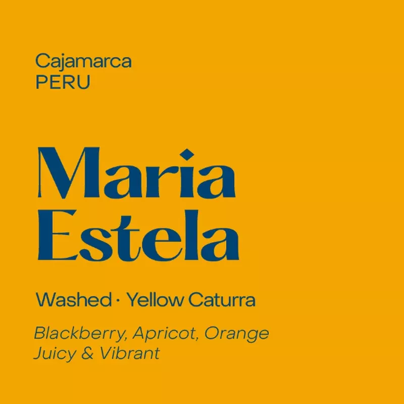 Subtext – Maria Estela